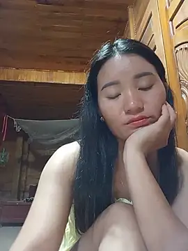 Td3di webcam