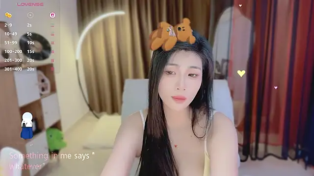 Vaidurya-Yolo webcam