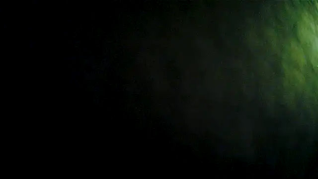 Raptor0061 webcam