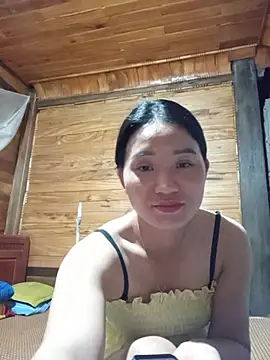 Td3di webcam