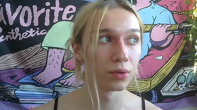 icebenz webcam