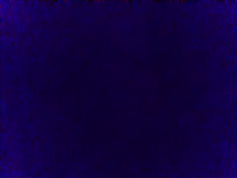 pregoruth webcam