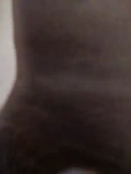 sexysexylaky webcam