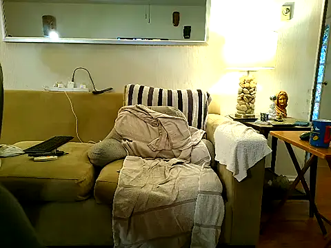 9VOLTT webcam