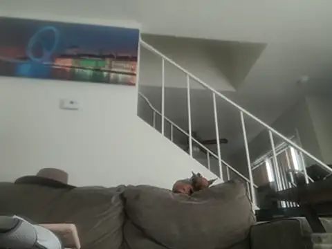 yourMasterisBored webcam