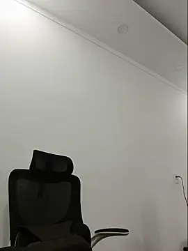 Fanritar webcam