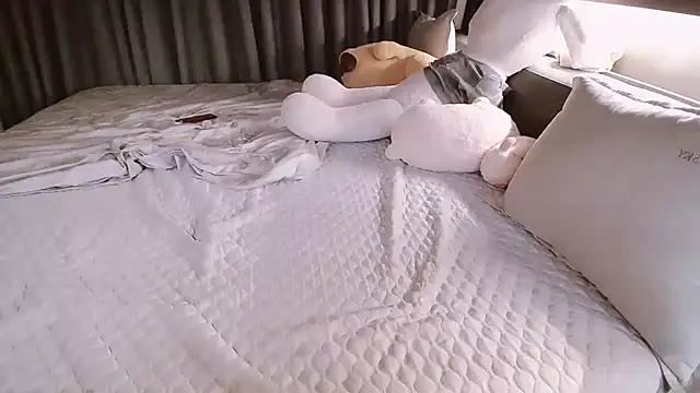 SungkyunnKwan webcam