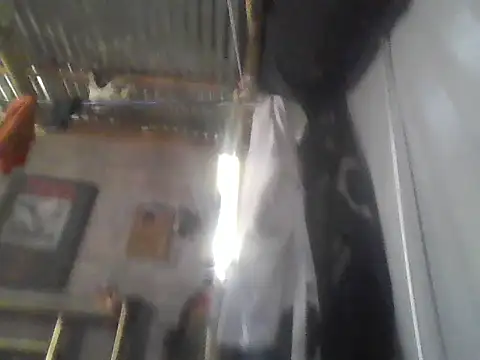 PenerPanShibari webcam