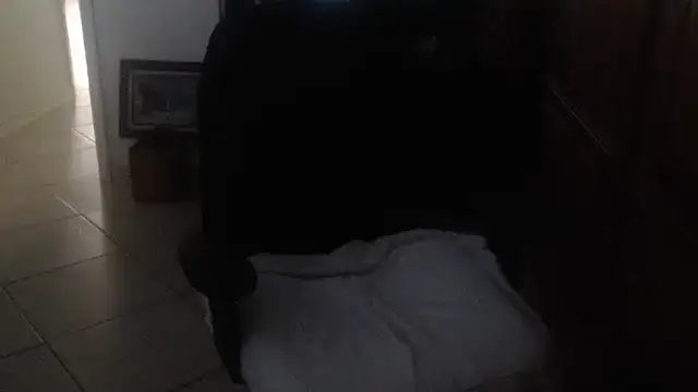 joeydee1
