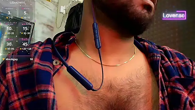 SilverShade3 webcam