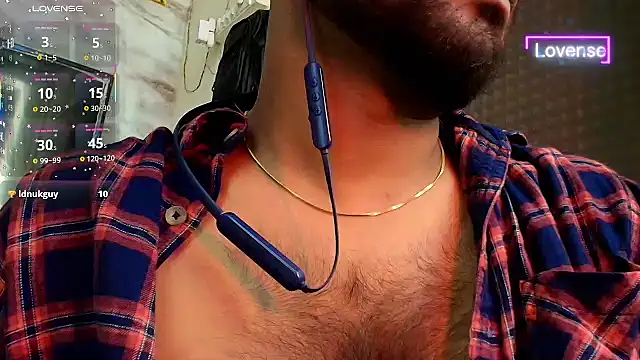 SilverShade3 webcam