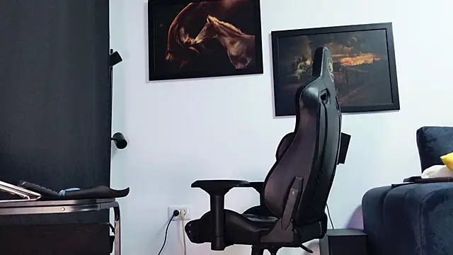 ChrisKox webcam