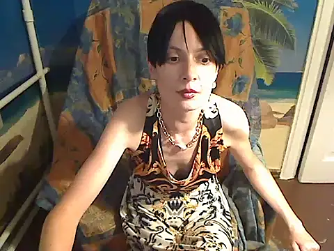 Bastet12 webcam