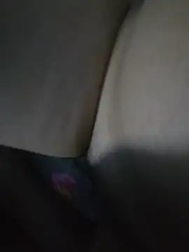 Heerjulliet webcam