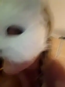 SPrITZMAUS webcam