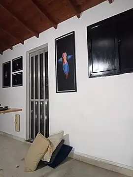 SilvaBranko webcam