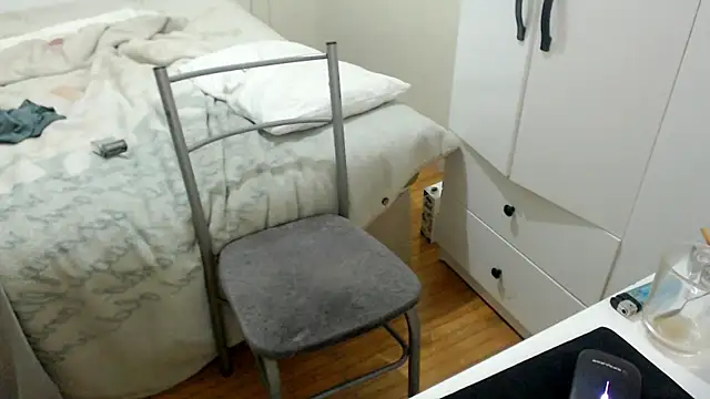 LiONTURK webcam