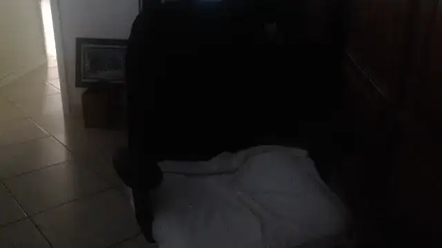 joeydee1 webcam