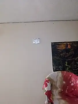 Bunny_and_claid webcam