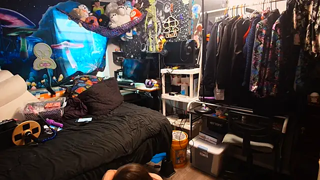 CyberStallion webcam