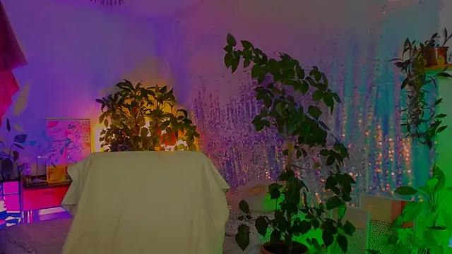 poli__ webcam