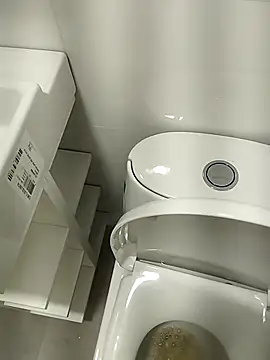 Verdachi webcam