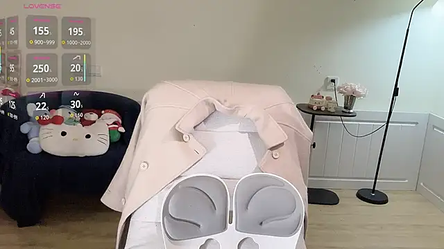 Xiao--Lin webcam