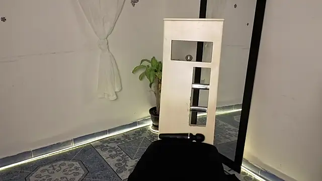 ArtMaria webcam