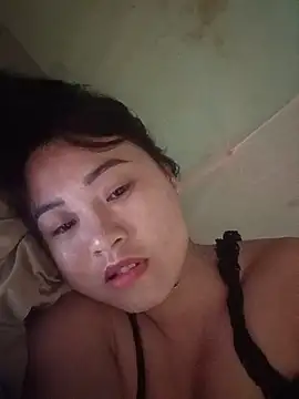 Pivi12 webcam