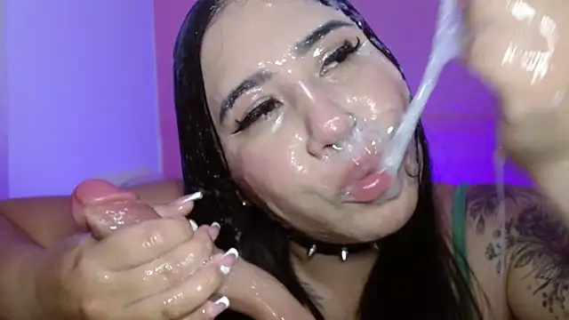 _hooly webcam