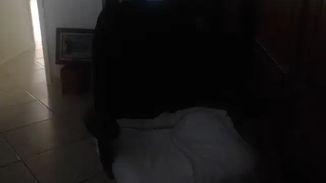 joeydee1 webcam