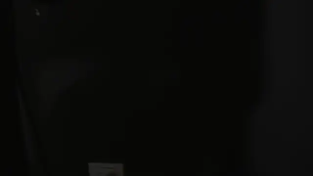 foxy_hannah webcam