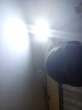 CRIBANN webcam