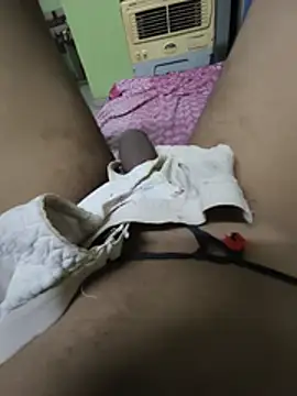 Dicky2212 webcam