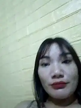 Voiva11 webcam