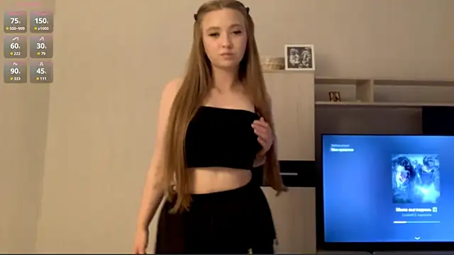 WhoShy webcam