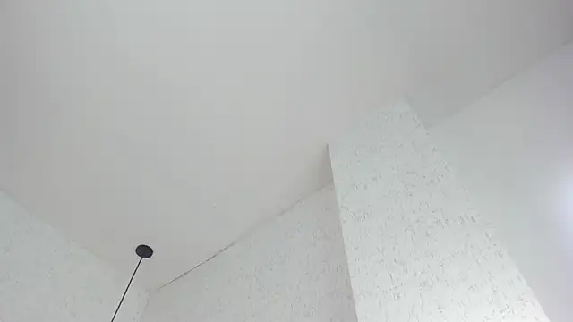 ABRILMILLER_VC webcam