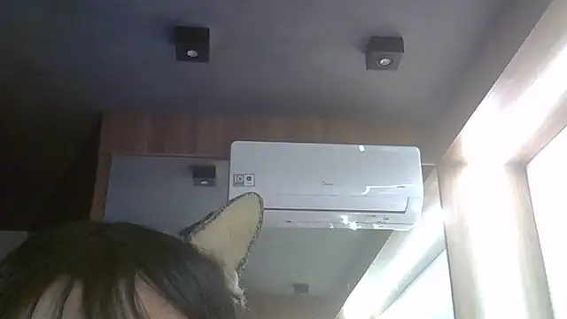 SkinnyKitten webcam