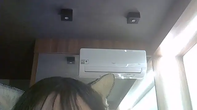 SkinnyKitten webcam