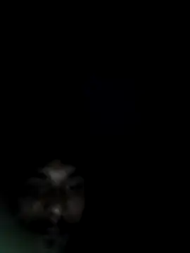 gdjfjd