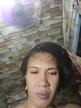 manilafoxts webcam