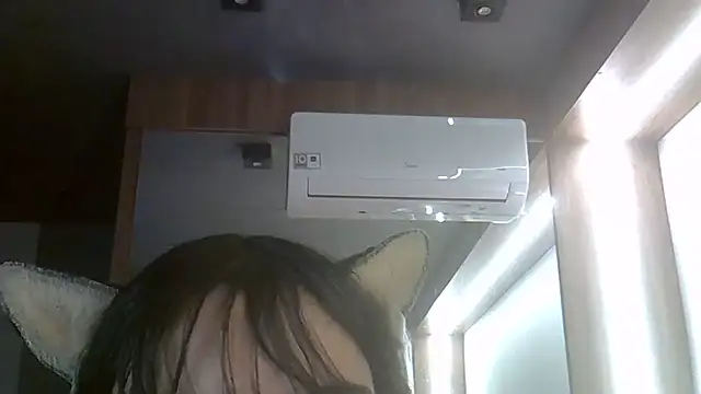 SkinnyKitten's room