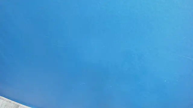 Charlie___Musk webcam