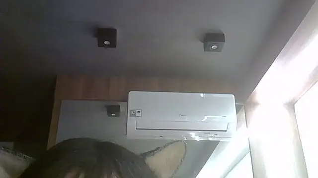 SkinnyKitten webcam