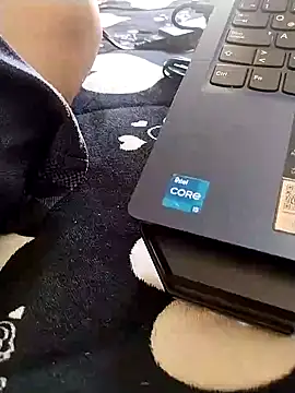 EMERKITHO_20_R webcam
