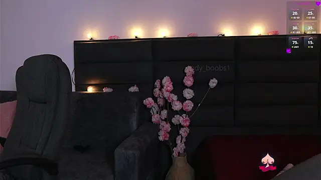 kathieandpovcock1 webcam