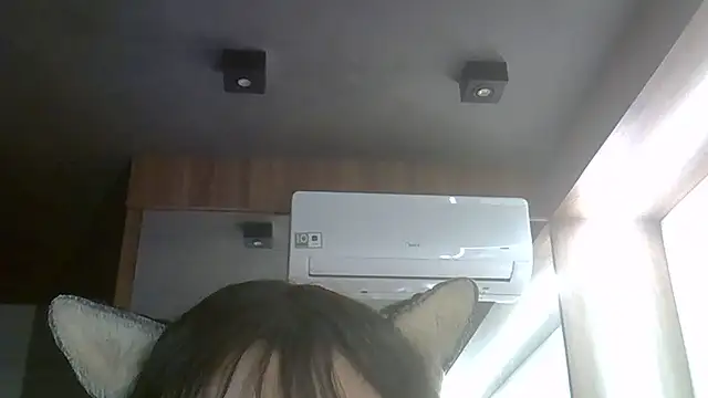 SkinnyKitten webcam