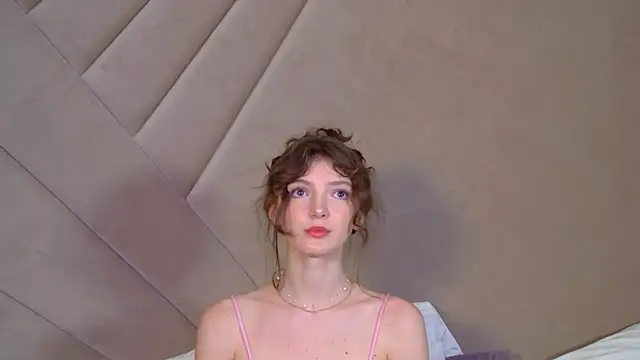 SophiaProve webcam