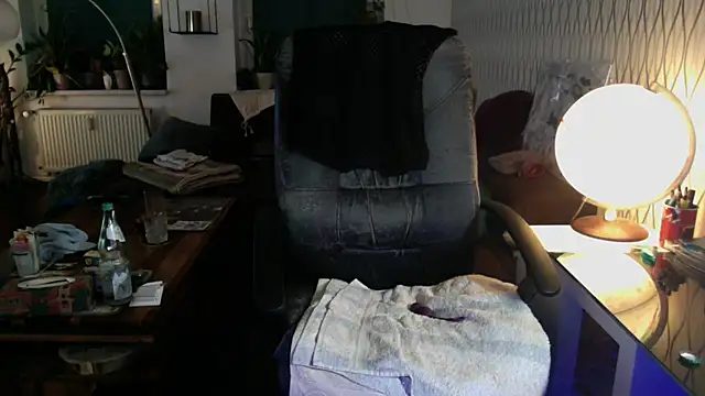 tomz0819 webcam