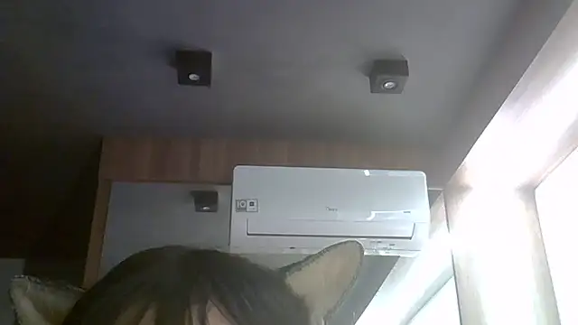 SkinnyKitten webcam
